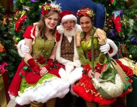 Meet our Holiday Faeries!